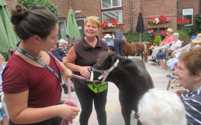 Alison’s popular ponies visit Woodlands