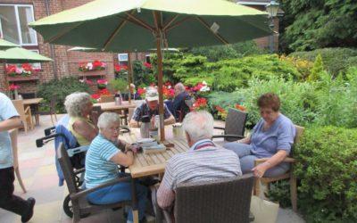 Wonderful Warm Weather in July at Woodlands!