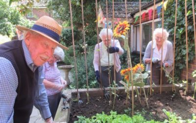 WOODLANDS DIARY Monday 22nd June – Sunday 28th June 2020