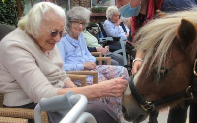WOODLANDS DIARY Monday 24th – 30th August 2020