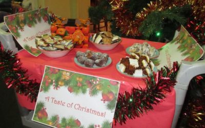 WOODLANDS DIARY: Monday 21st. December to Sunday 27th. December Christmas Week Part 1