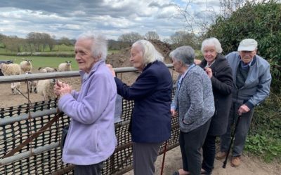 WOODLANDS DIARY: Monday 5th.April – Sunday 11th. April