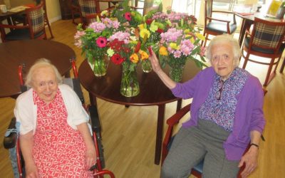 WOODLANDS DIARY: Monday 7th – Sunday 13th June