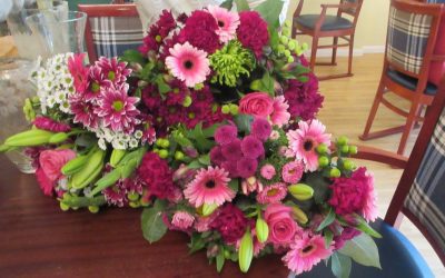 Woodlands Diary 30th August – 5th September 2021