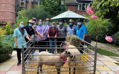 Woodlands Diary 6 – 12th Sept 2021