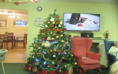 Getting ready for Christmas here at Woodlands 22nd – 28th Nov 2021
