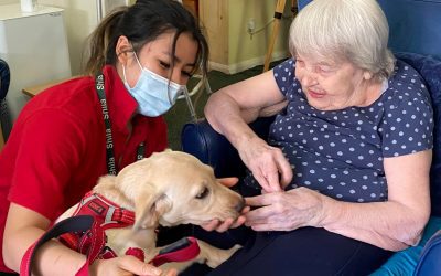 WOODLANDS WELCOMES PUPPY AND KITTENS