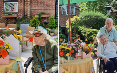 Flower Show Week At Woodlands