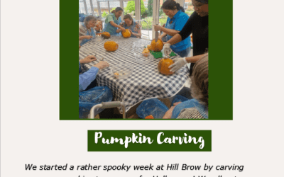 Hill Brow Diary 28 October – 3 November
