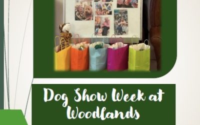 Dog Show Week at Woodlands