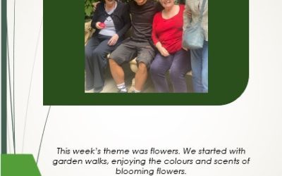 Flower Show Week at Hill Brow