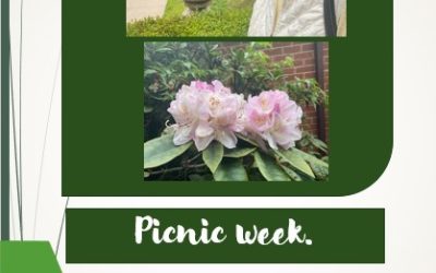 Picnic Week at Hill Brow